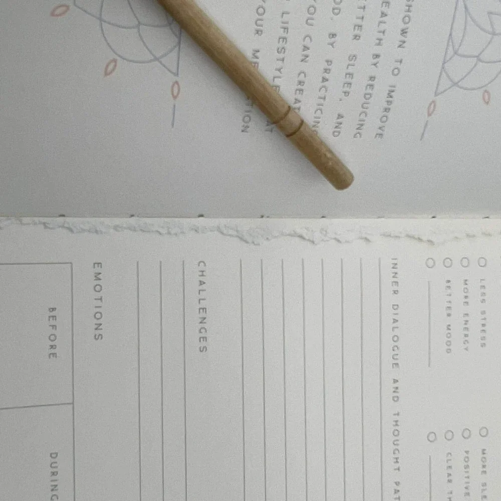 Insights Meditation Journal‎ Blue Lotus Mandala Guided Practice Tracker Notebook